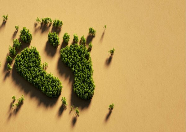 Carbon Footprint Basics
