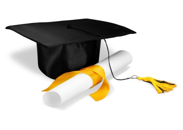 Transport Economics and Financial Management Diploma