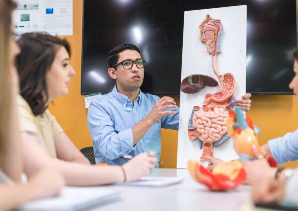Understanding Anatomy & Physiology (Advanced)