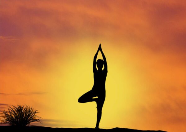 Yoga Basics Workshop
