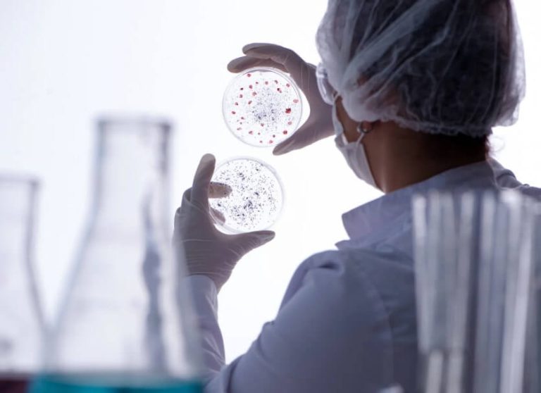 Inside a Biomedical Sciences Building: Fostering Excellence in Medical Research and Education